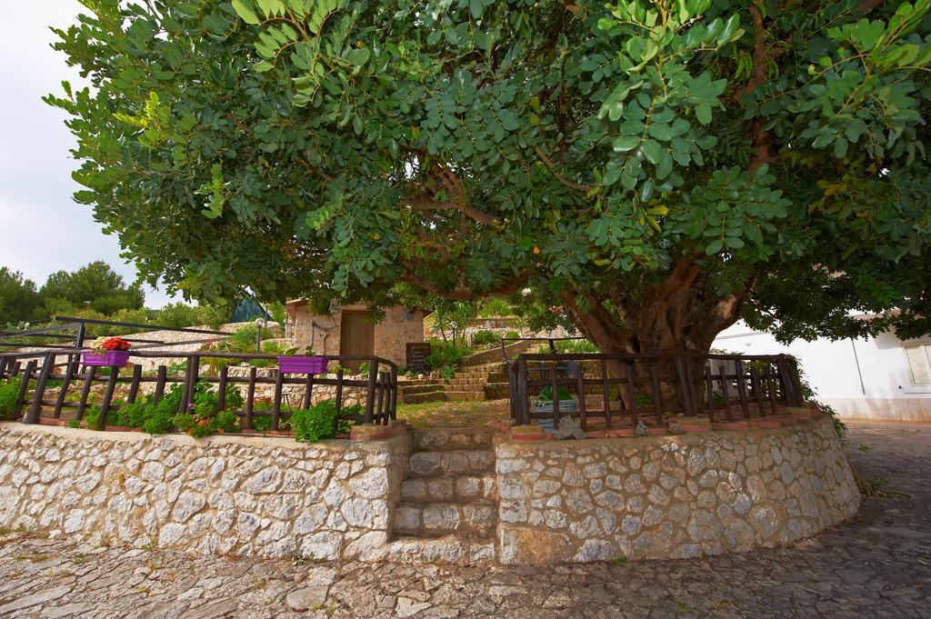 B&B La Scapola Маттината Экстерьер фото