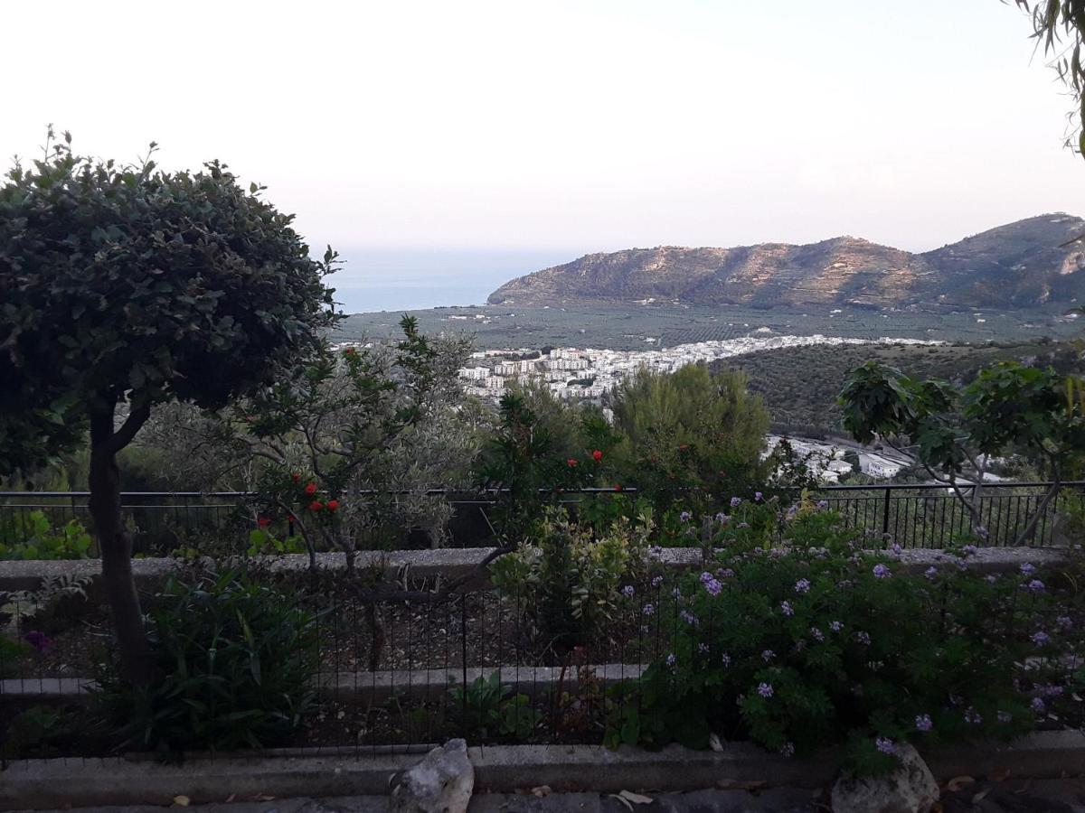 B&B La Scapola Маттината Экстерьер фото